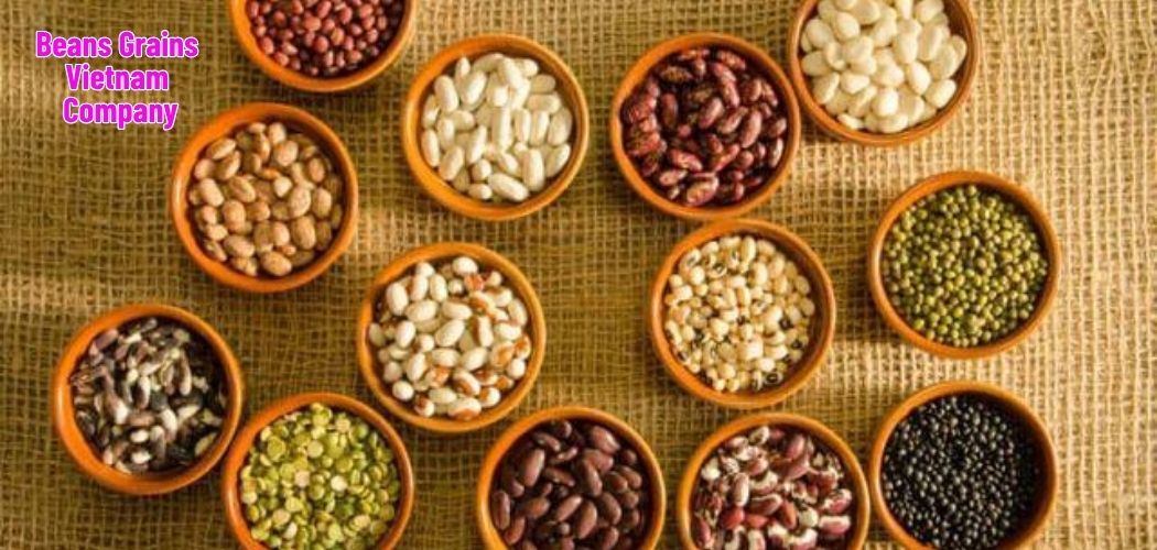 Beans Grains Vietnam Company 1