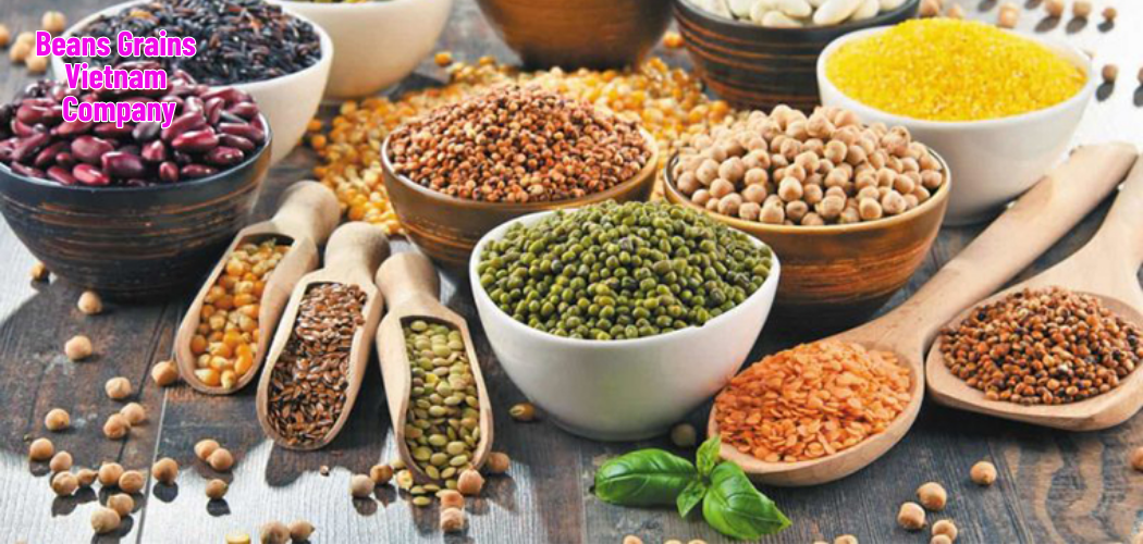 Beans Grains Vietnam Company 1