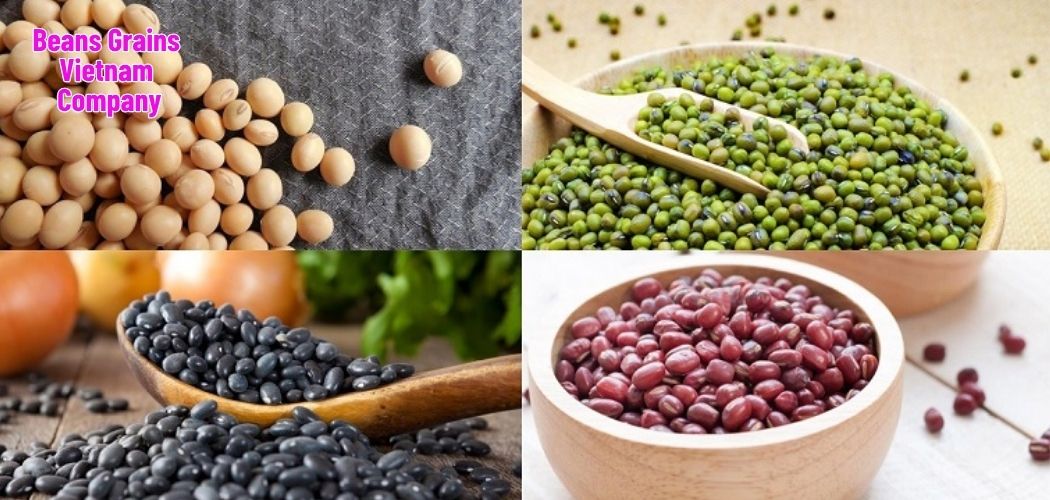 Beans Grains Vietnam Company 10