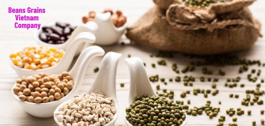 Beans Grains Vietnam Company 2