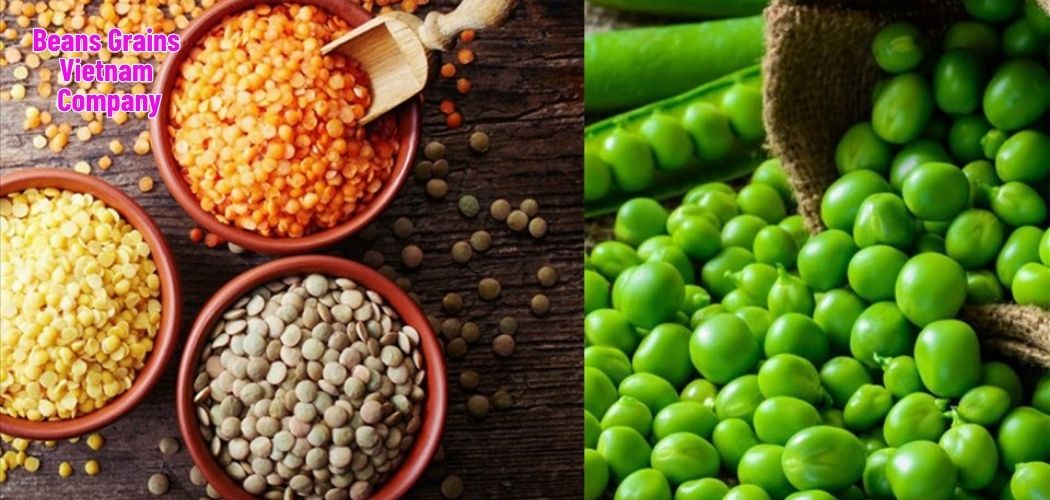 Beans Grains Vietnam Company 3