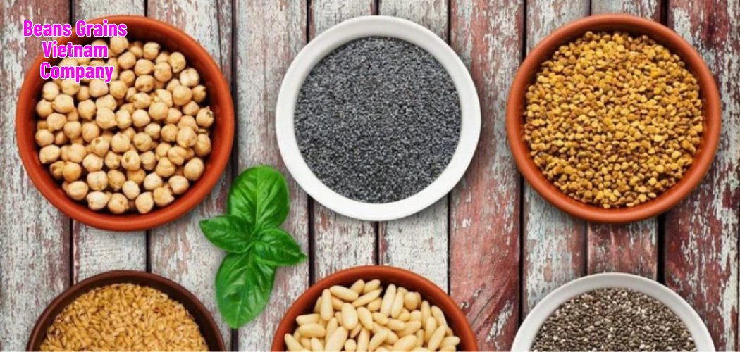 Beans Grains Vietnam Company 3