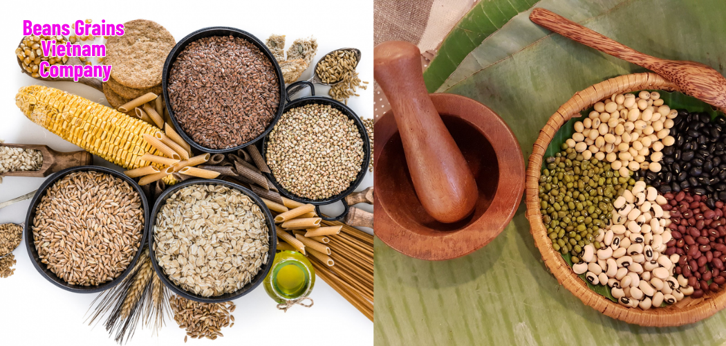 Beans Grains Vietnam Company 4 1