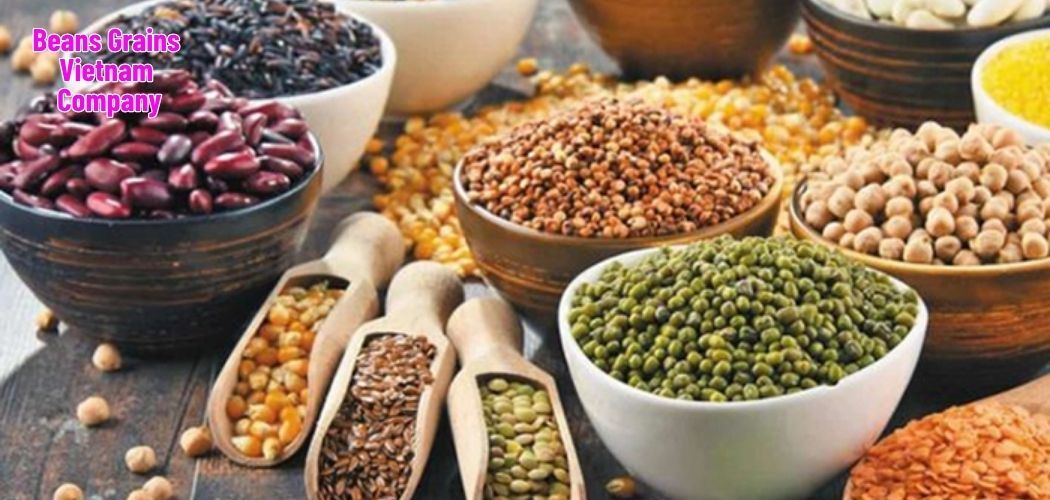 Beans Grains Vietnam Company 5