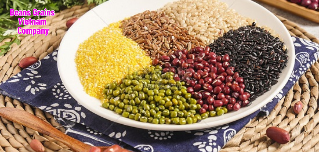 Beans Grains Vietnam Company 6