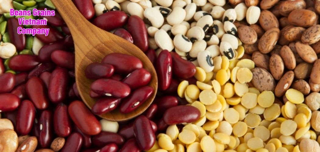 Beans Grains Vietnam Company 7