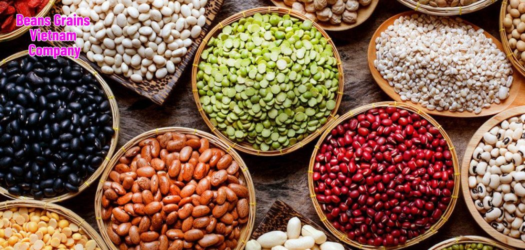 Beans Grains Vietnam Company 7