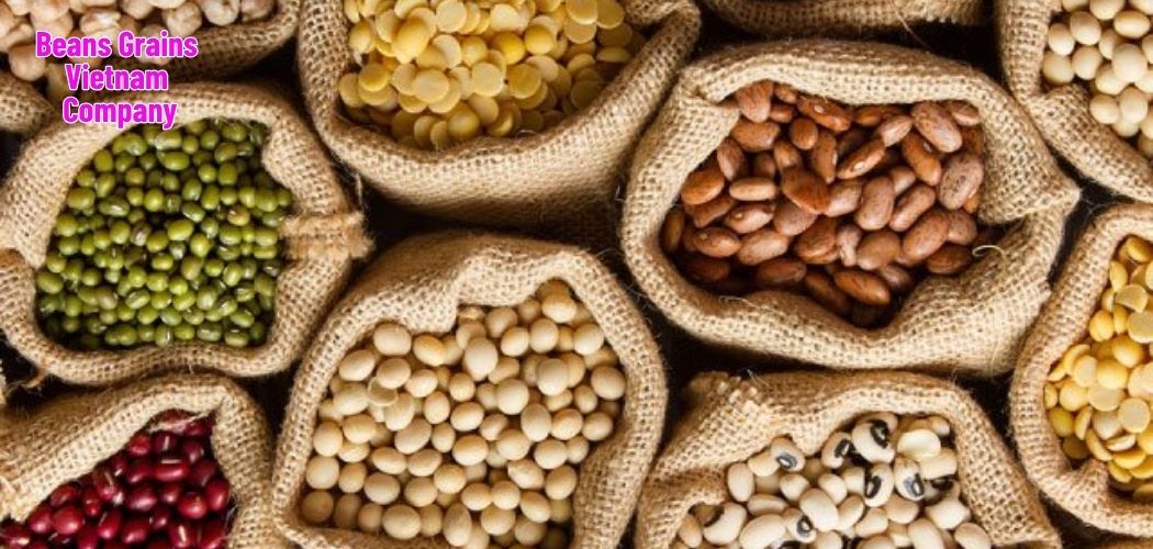 Beans Grains Vietnam Company 8