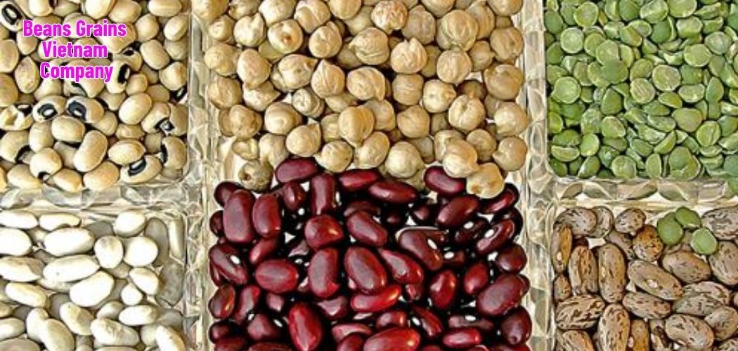 Beans Grains Vietnam Company 9