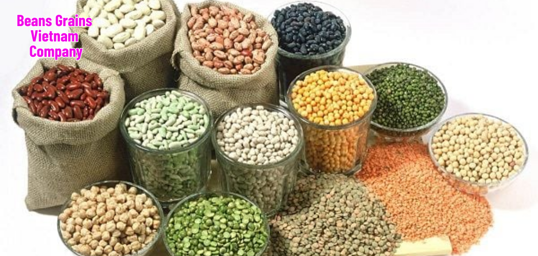Beans Grains Vietnam Company 9
